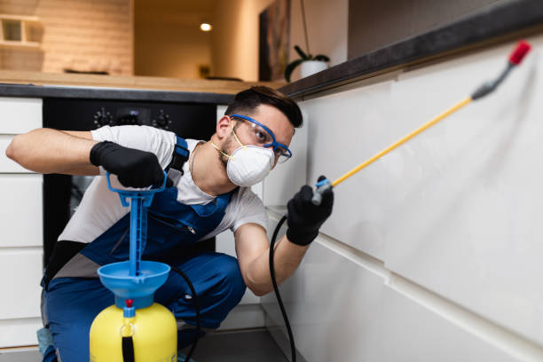 Best Best Pest Control Companies  in Amery, WI