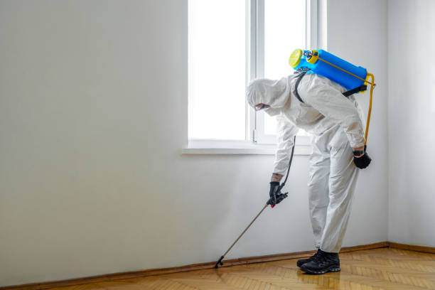Best Pest Removal Services  in Amery, WI